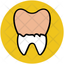 پیش‌نمایش فایل tooth-52 از پک دندانپزشکی