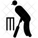 پیش‌نمایش فایل batsman-2 از پک انسان