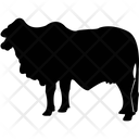 پیش‌نمایش فایل ox-2214706 از پک حیوانات جلد ۳
