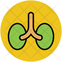 پیش‌نمایش فایل kidney-9 از پک تناسب اندام و سلامت