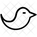 پیش‌نمایش فایل dove-2 از پک دامپزشکی