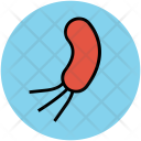 پیش‌نمایش فایل bacteria-32 از پک علم و تکنولوژی