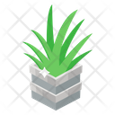 پیش‌نمایش فایل aloe-plant-2400984 از پک کشاورزی، زراعت و باغبانی