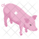 پیش‌نمایش فایل farm-pig-2400970 از پک کشاورزی، زراعت و باغبانی