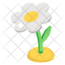پیش‌نمایش فایل flower-2401001 از پک کشاورزی، زراعت و باغبانی