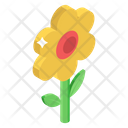 پیش‌نمایش فایل sunflower-2400985 از پک کشاورزی، زراعت و باغبانی