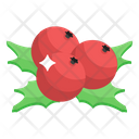 پیش‌نمایش فایل holly-berries-2421104 از پک کریسمس