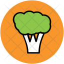 پیش‌نمایش فایل broccoli-22 از پک میوه و سبزیجات