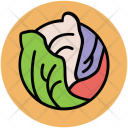 پیش‌نمایش فایل cabbage-17 از پک میوه و سبزیجات