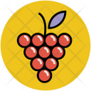 پیش‌نمایش فایل grapes-26 از پک میوه و سبزیجات
