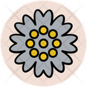 پیش‌نمایش فایل anemone-14 از پک گل‌ها و طرح‌های گلی