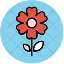 پیش‌نمایش فایل anemone-17 از پک گل‌ها و طرح‌های گلی