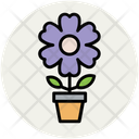 پیش‌نمایش فایل anemone-20 از پک گل‌ها و طرح‌های گلی