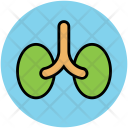 پیش‌نمایش فایل kidney-12 از پک سلامت و تناسب اندام