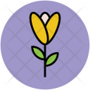 پیش‌نمایش فایل flower-369 از پک عشق و عاشقی