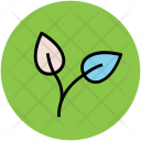 پیش‌نمایش فایل leaves-10 از پک اسپا (مراکز زیبایی و سلامت)