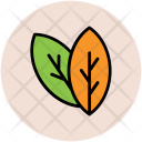 پیش‌نمایش فایل leaves-11 از پک اسپا (مراکز زیبایی و سلامت)