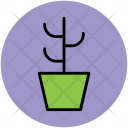 پیش‌نمایش فایل cactus-24 از پک طبیعت