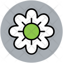 پیش‌نمایش فایل daisy-15 از پک طبیعت