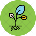 پیش‌نمایش فایل plant-137 از پک طبیعت
