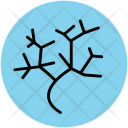 پیش‌نمایش فایل roots از پک طبیعت
