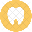 پیش‌نمایش فایل dental-365 از پک سلامت