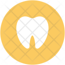 پیش‌نمایش فایل dental-370 از پک پزشکی