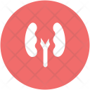 پیش‌نمایش فایل kidneys-21 از پک پزشکی