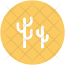 پیش‌نمایش فایل cactus-35 از پک طبیعت