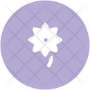 پیش‌نمایش فایل flower-465 از پک طبیعت