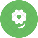 پیش‌نمایش فایل flower-480 از پک طبیعت