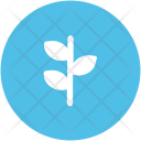 پیش‌نمایش فایل leaf-167 از پک طبیعت