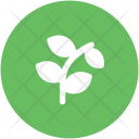پیش‌نمایش فایل leaf-172 از پک طبیعت