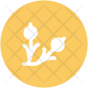 پیش‌نمایش فایل plant-173 از پک طبیعت