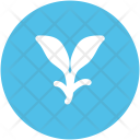 پیش‌نمایش فایل plant-175 از پک طبیعت