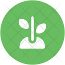 پیش‌نمایش فایل plant-176 از پک طبیعت