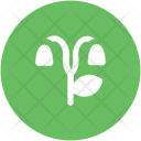 پیش‌نمایش فایل tree-329 از پک طبیعت