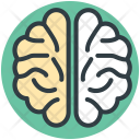 پیش‌نمایش فایل brain-218 از پک آموزش و پرورش