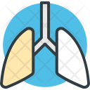 پیش‌نمایش فایل lungs-36 از پک تناسب اندام