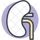 پیش‌نمایش فایل kidney-21 از پک پزشکی و سلامت