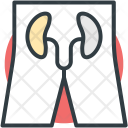 پیش‌نمایش فایل kidneys-23 از پک پزشکی و سلامت