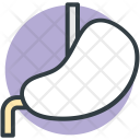 پیش‌نمایش فایل stomach-34 از پک پزشکی و سلامت