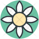 پیش‌نمایش فایل flower-550 از پک تابستان