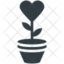 پیش‌نمایش فایل plant-203 از پک عشق و عاشقی ۱