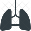 پیش‌نمایش فایل lungs-41 از پک پزشکی و سلامت ۳