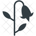 پیش‌نمایش فایل bellflower از پک طبیعت ۲