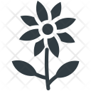 پیش‌نمایش فایل bloodroot-28 از پک طبیعت ۲