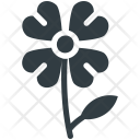 پیش‌نمایش فایل shamrock-99 از پک طبیعت ۲