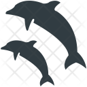 پیش‌نمایش فایل whale-27 از پک تابستان ۱