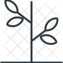 پیش‌نمایش فایل twig-10 از پک طبیعت ۲
